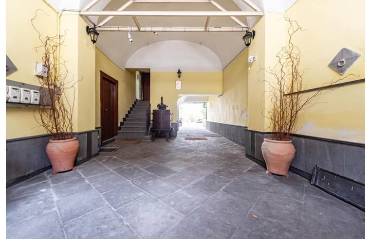 immagine annuncio 4 di 7