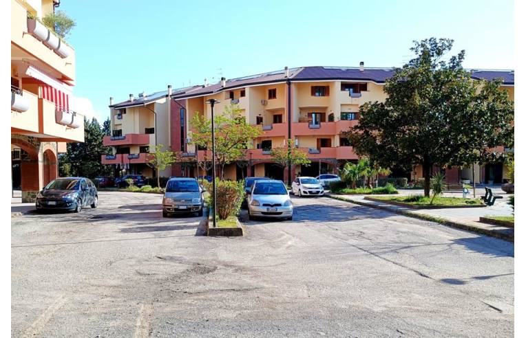 immagine annuncio 2 di 3