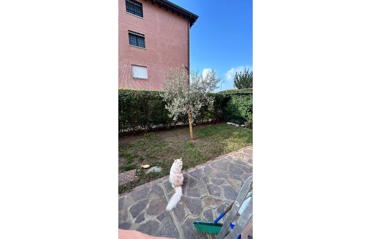 immagine annuncio 5 di 7