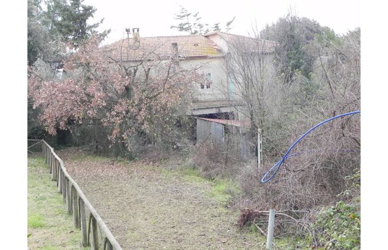 immagine annuncio 2 di 6