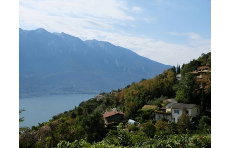 immagine annuncio 3 di 7