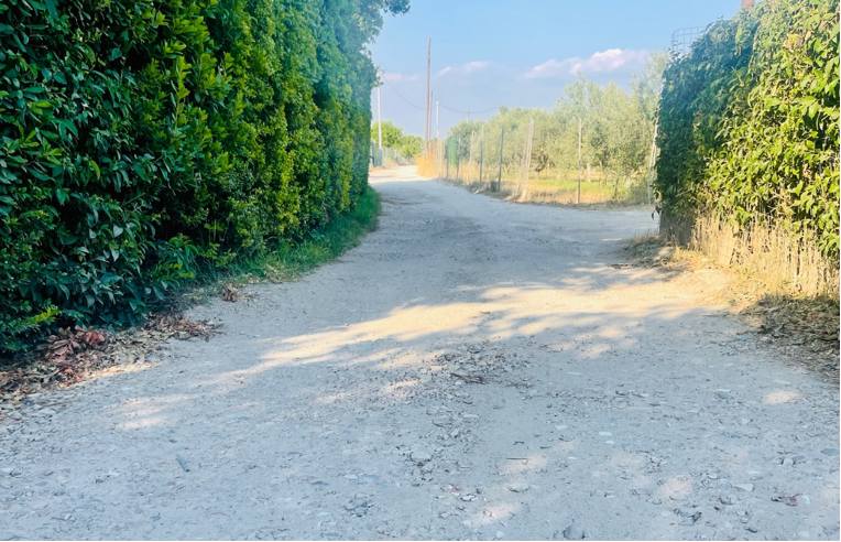 immagine annuncio 2 di 3