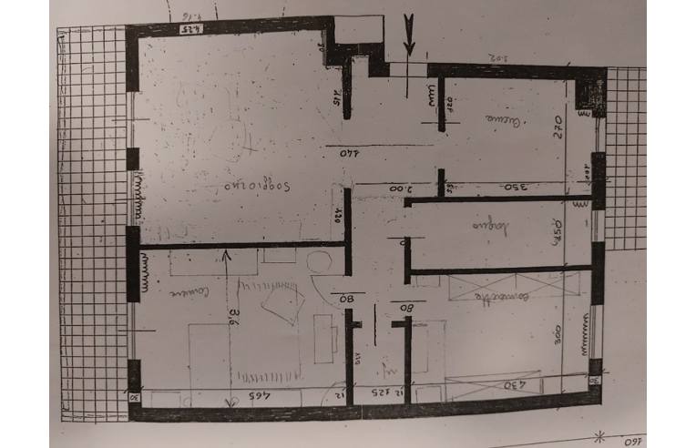 immagine annuncio 3 di 7