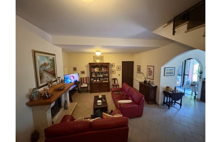 immagine annuncio 5 di 7