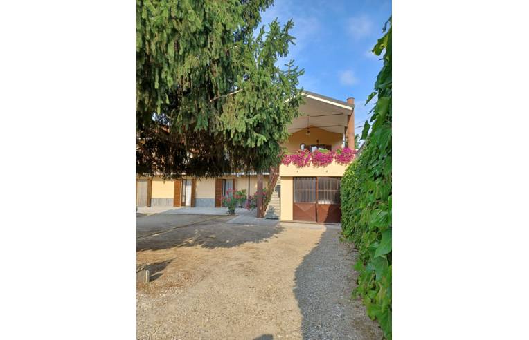 immagine annuncio 2 di 7