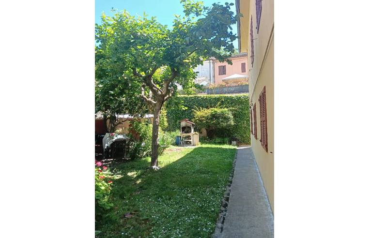 immagine annuncio 2 di 7