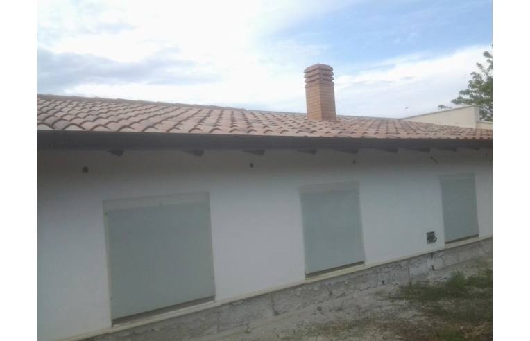 immagine annuncio 5 di 7