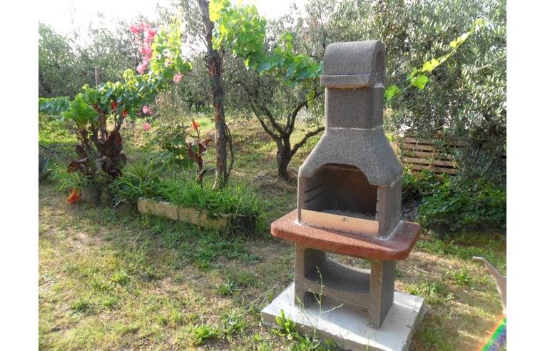immagine annuncio 3 di 6