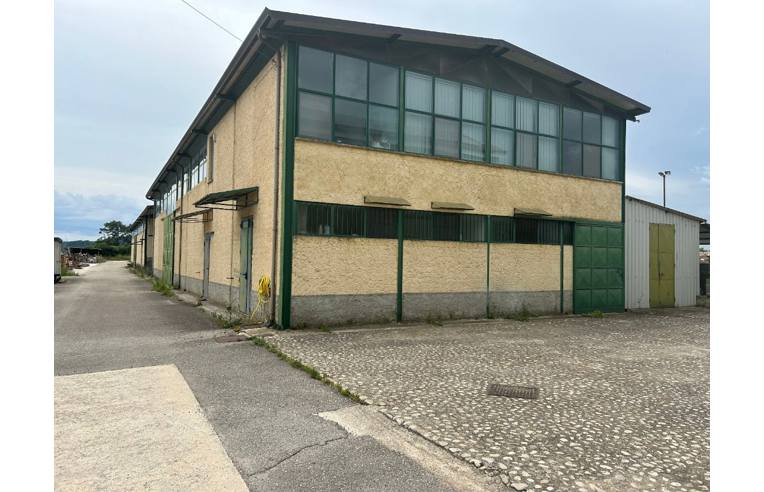 immagine annuncio 1 di 7