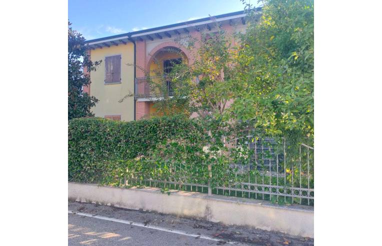 immagine annuncio 2 di 7