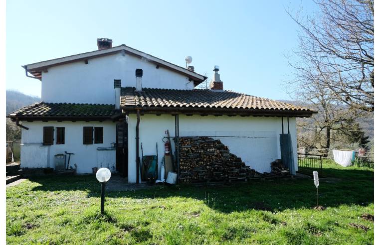 immagine annuncio 2 di 6