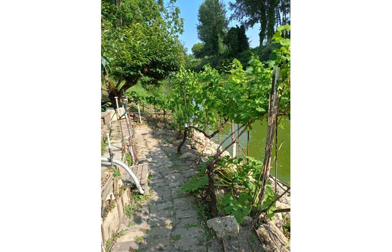 immagine annuncio 3 di 4
