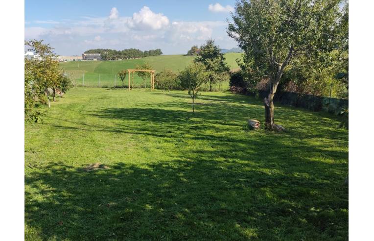 immagine annuncio 4 di 7