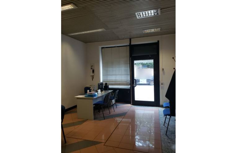 immagine annuncio 1 di 7
