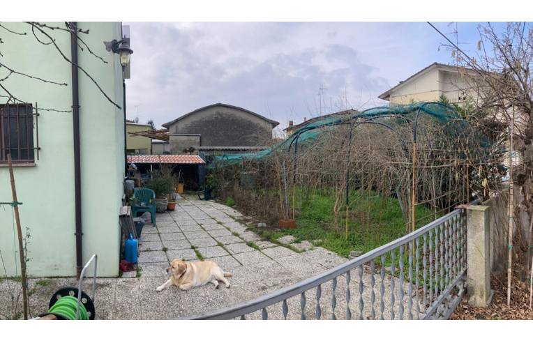 immagine annuncio 3 di 7