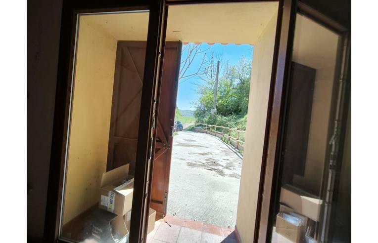 immagine annuncio 4 di 7