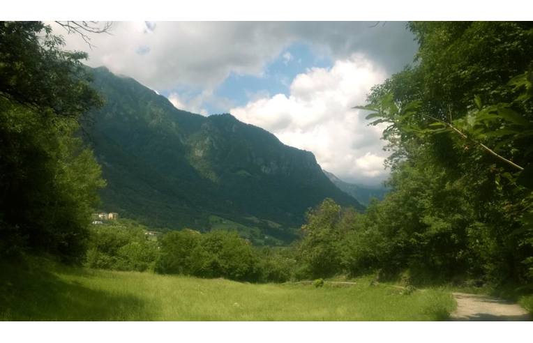 immagine annuncio 3 di 6