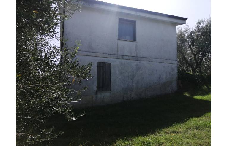immagine annuncio 1 di 7