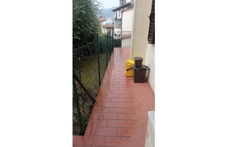 immagine annuncio 3 di 7