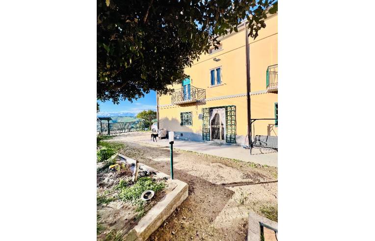 immagine annuncio 6 di 7