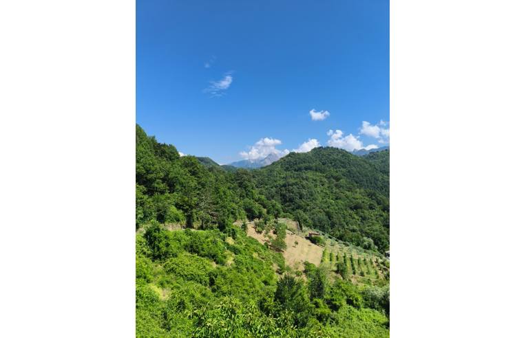 immagine annuncio 3 di 7