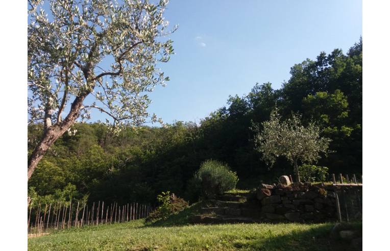 immagine annuncio 5 di 7