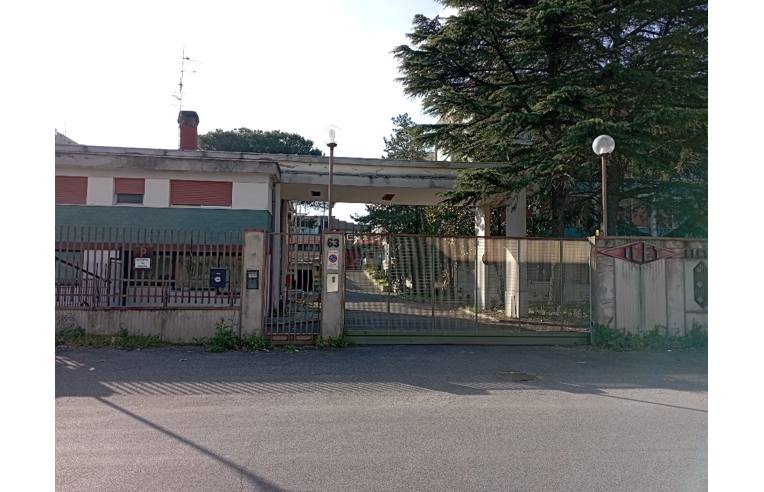 immagine annuncio 4 di 7