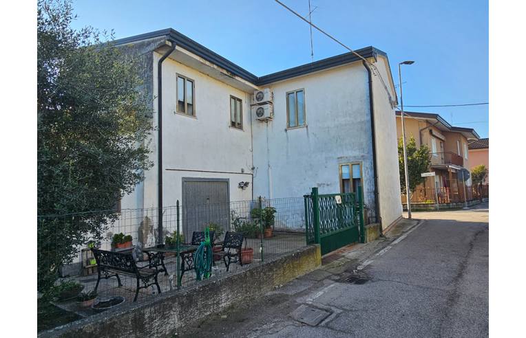 immagine annuncio 3 di 7