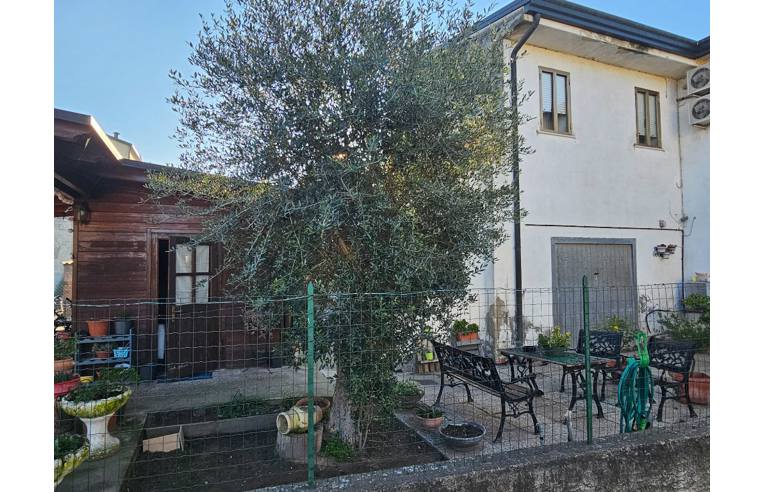 immagine annuncio 2 di 7