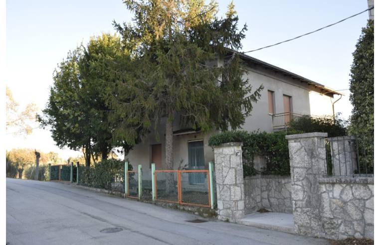 immagine annuncio 1 di 4