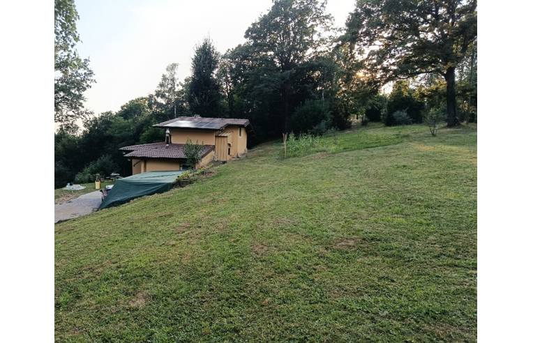 immagine annuncio 2 di 7