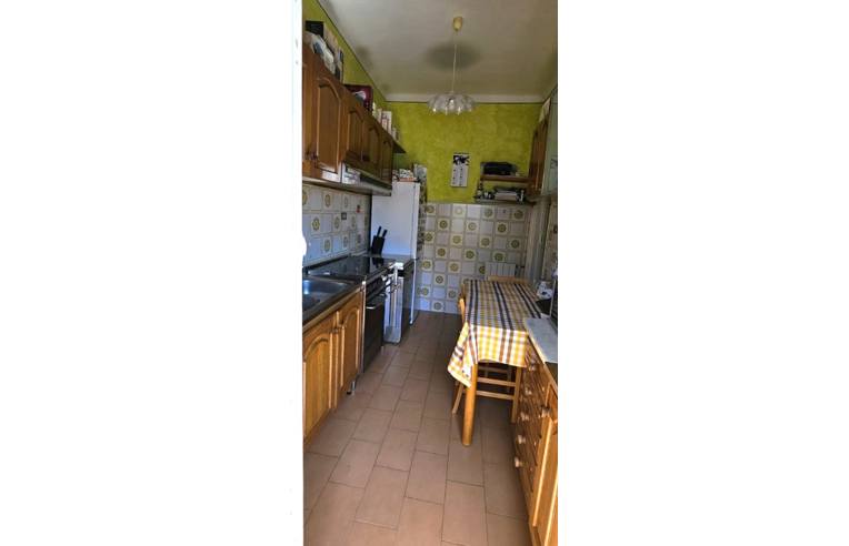 immagine annuncio 4 di 7