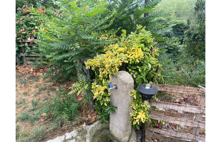 immagine annuncio 2 di 7