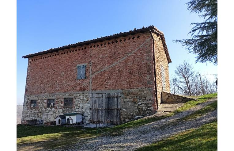 immagine annuncio 5 di 7