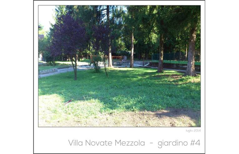 immagine annuncio 6 di 7
