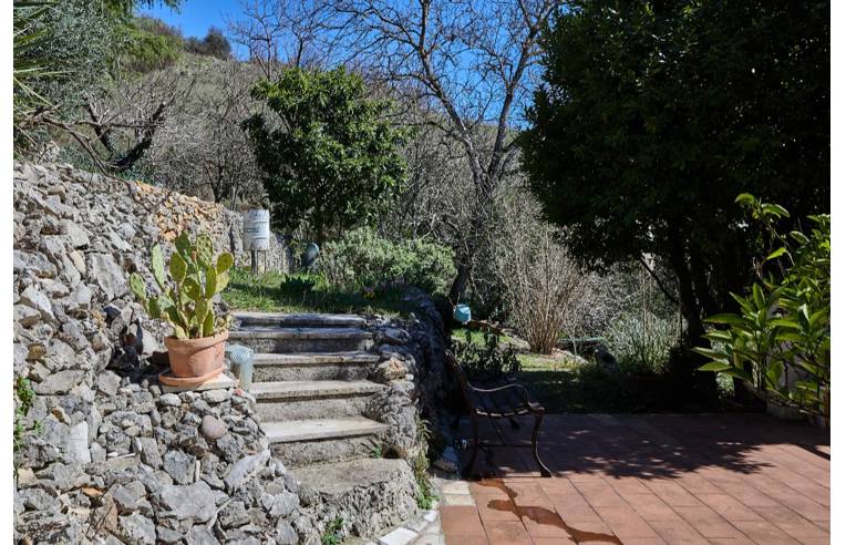 immagine annuncio 6 di 7