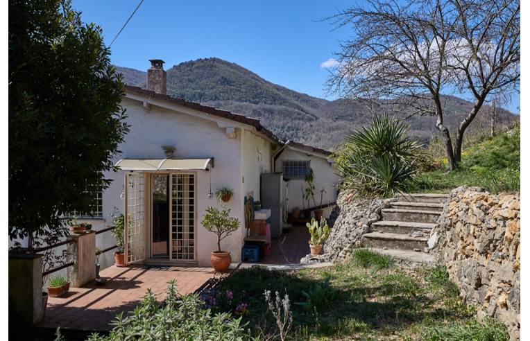 immagine annuncio 3 di 7