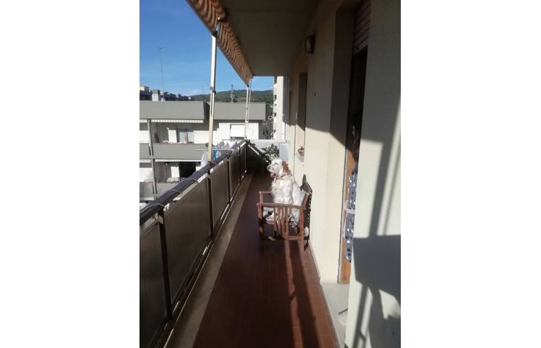 immagine annuncio 3 di 7