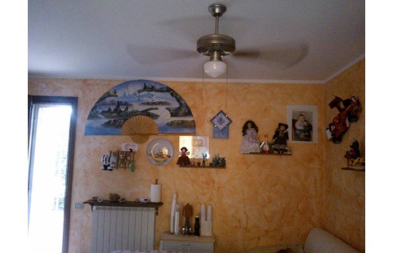 immagine annuncio 3 di 7