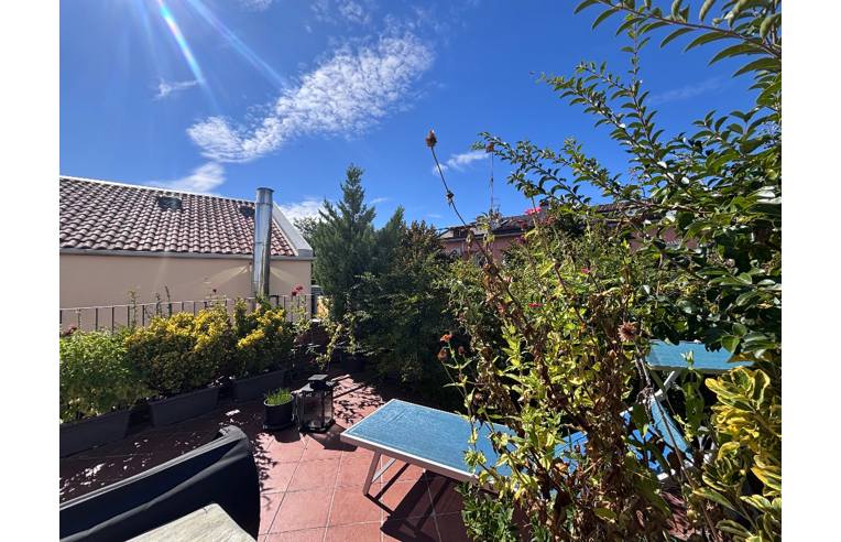 immagine annuncio 2 di 7