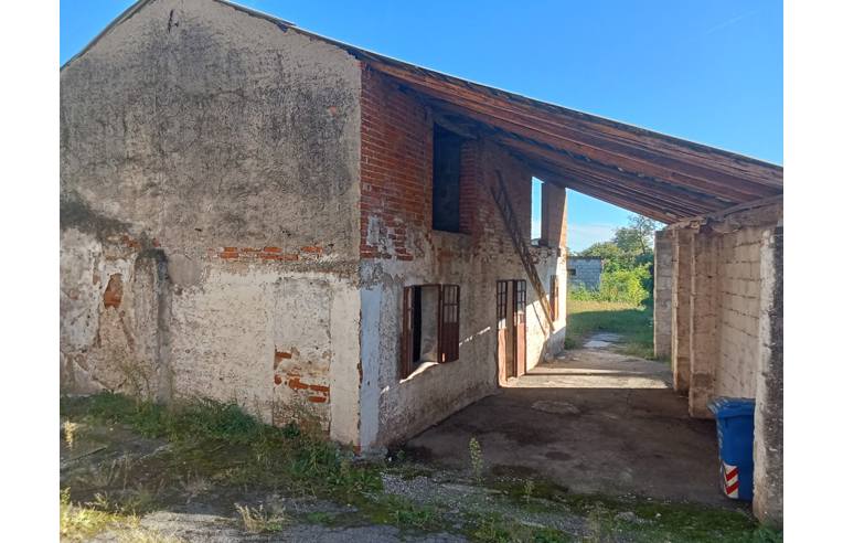 immagine annuncio 2 di 7