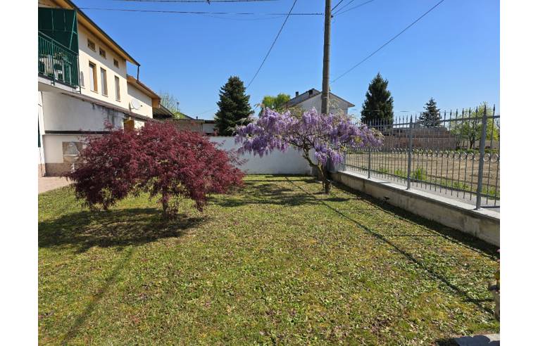 immagine annuncio 3 di 7