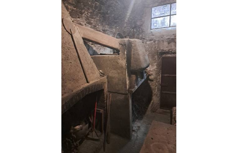 immagine annuncio 3 di 7