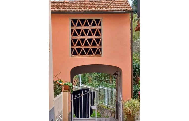immagine annuncio 2 di 7
