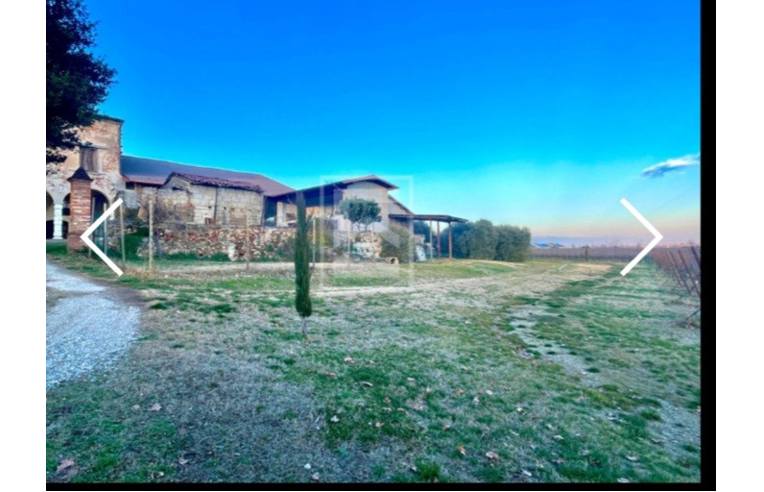 immagine annuncio 6 di 7