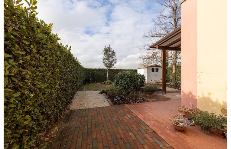 immagine annuncio 5 di 7