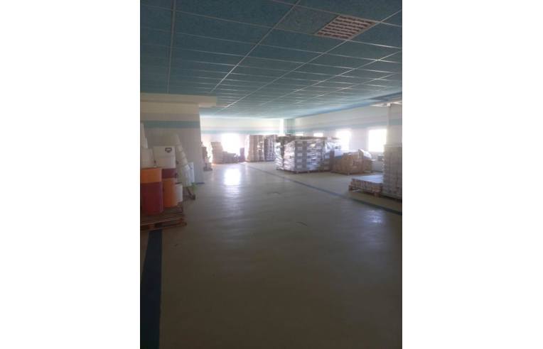 immagine annuncio 3 di 7