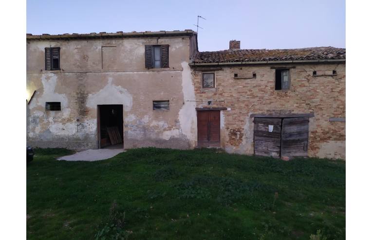 immagine annuncio 3 di 7