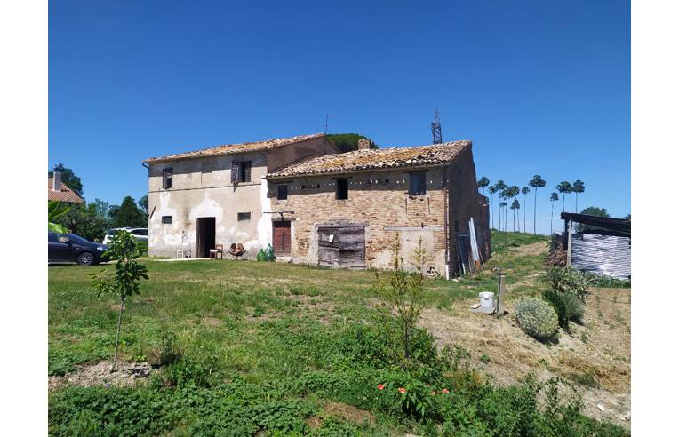 immagine annuncio 2 di 7