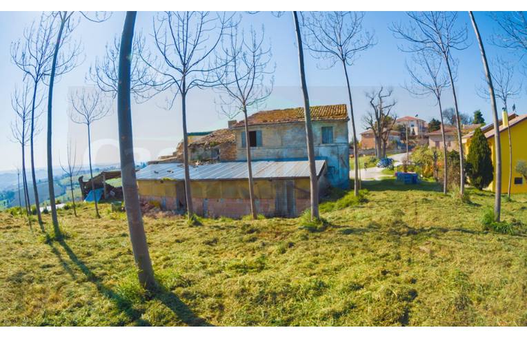 immagine annuncio 5 di 7